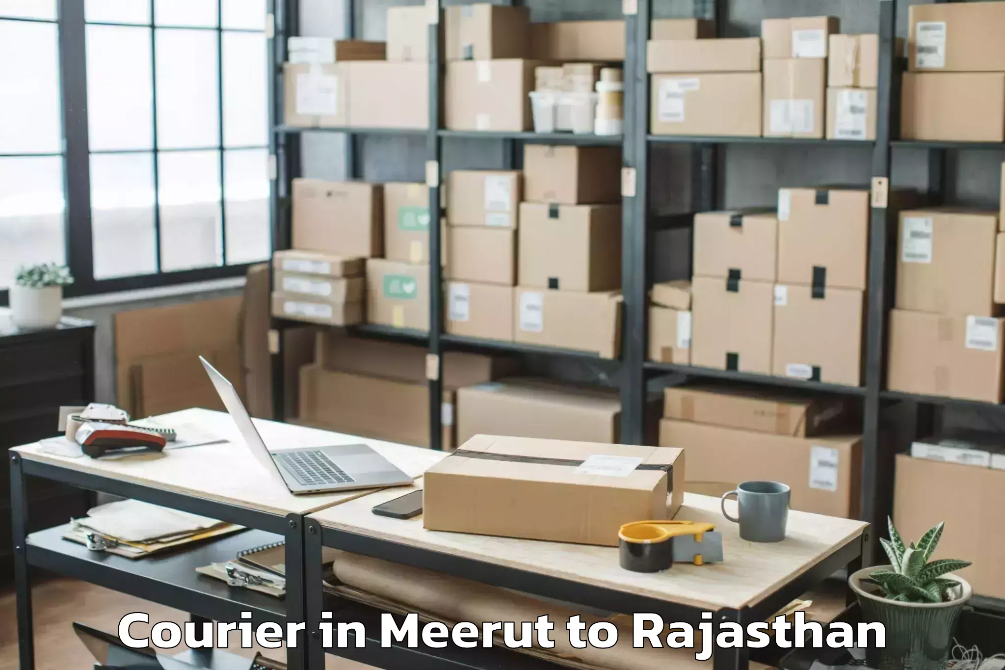 Efficient Meerut to Shri Jagdishprasad Jhabrmal Ti Courier